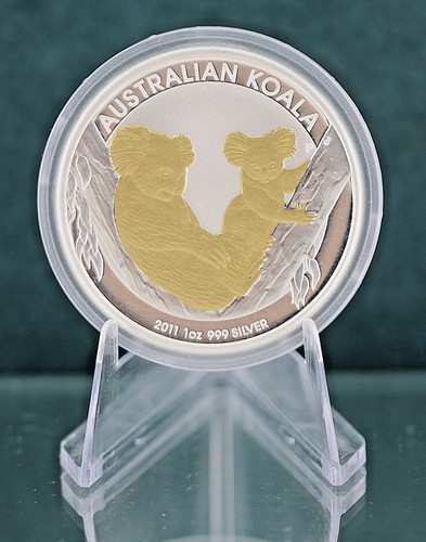 Silber australian koala - australian,