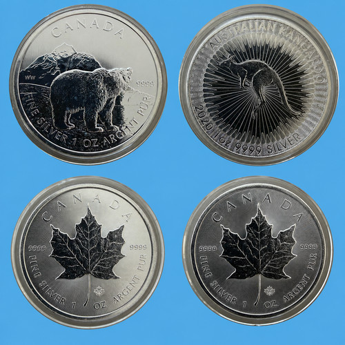 Silber 9999 grizzly - 1, oz