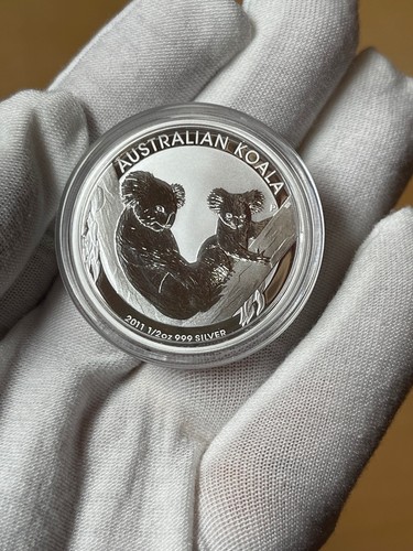 Australian koala - oz,