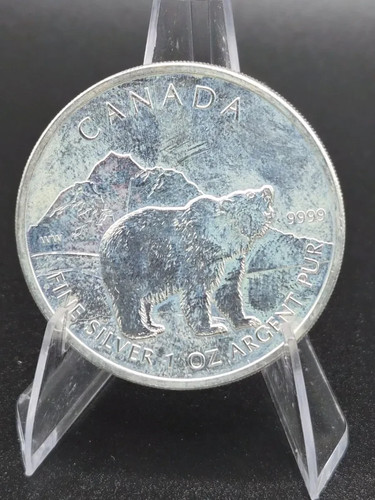Kanada grizzly bär - grizzly,