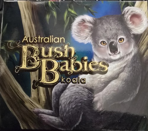 Australia 2011 koala - -, bush